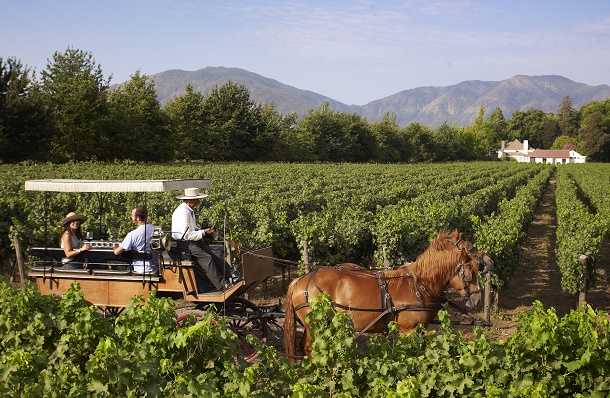 Pagina-29-Tour-en-carruaje-por-Vinedos