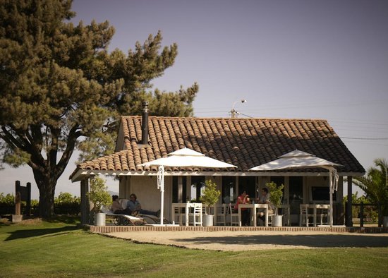 cafe-de-la-vina-viu-manent