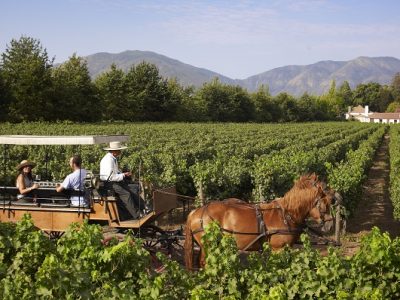 Pagina-29-Tour-en-carruaje-por-Vinedos